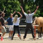 Equine-assisted learning activity