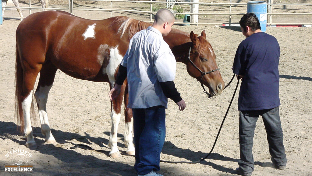 Two teen boys with a red horse during a horse program for youth