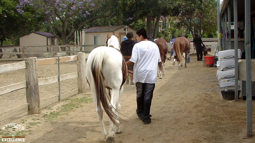 Teens walking horses during a horse program for youth