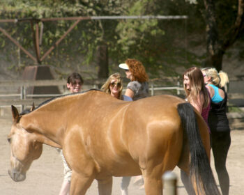 buckskin horse with several women