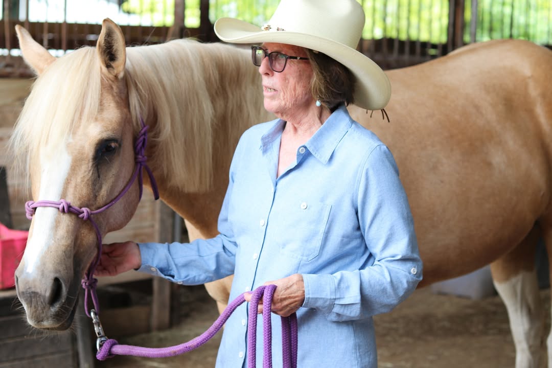 Strides to Excellence